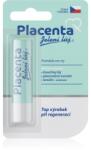 Regina Placenta ajakbalzsam placentával 4.5 g