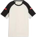 PUMA INDIVIDUALLIGA JERSEY bej, Negru, Roz 140 (66058204)