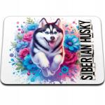  Egérpad 36 x 29 Kutya Fajta Husky Szibériai (PODKŁADKA POD MYSZKĘ LEGAL 36x29 - NR 29)