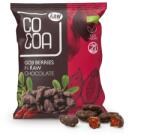 COCOA goji bogyó nyers csokoládéban bio 70 g (5908268768012)