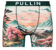 Pullin Alsónadrágok FASHION 2 Sokszínű EU M - spartoo - 15 419 Ft
