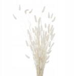 Boltze Szárított Gallyak Vázához Fehér 70 CM Rugalmas Beltéri Dekoráció (2019689-white)