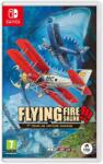 Clear River Games Toaplan Arcade Garage Flying Fire Shark (Switch)