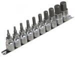 ASTA TOOLS Dugókulcsok 1/2" 10 db H4-H19 10db 02345 (954010)