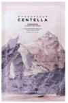 SKIN1004 Madagascar Centella Poremizing Clarifying Mask (8809913831310)