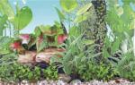  GRASSY akváriumi háttérfólia 80 cm x 25 m