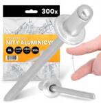 TRCR 300x Törhető Szegecsek 4x6mm Alumínium Acél Horganyzott Rozsdamentes Szegecs Mo Iu (SE030311318)