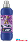 Coccolino Öblítőkoncentrátum COCCOLINO Perfume & care Purple Orchid & Blueberries 925 ml