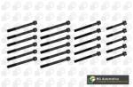 BGA Set surub, chiulasa BGA BK3325 (BK3325)