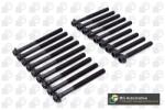 BGA Set surub, chiulasa BGA BK5310 (BK5310)