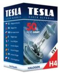 Tesla Bec, far principal TESLA B30401 (B30401)