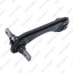 GSP Brat, suspensie roata GSP S060495 (S060495)