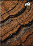 Victoria Füzet A/4 kockás COOL BY VICTORIA 80 lap "Wood & Rock