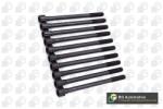 BGA Set surub, chiulasa BGA BK6381 (BK6381)