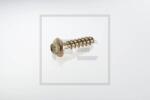 PE Automotive 065.103-00A Csavar (065.103-00A)