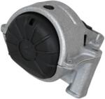 Asam Automotive Suport motor ASAM AUTOMOTIVE 116299 (116299)