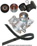 KAVO PARTS Set pompa apa + curea dintata KAVO PARTS DKW-8002 (DKW-8002)