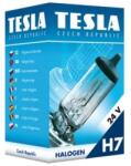 Tesla Bec, far faza lunga TESLA B10702 (B10702)