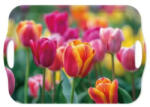 Ach Impex Melamin tálca füllel tulipános 41.8 x 28.5 x 2.3 cm (M40375)