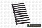 BGA Set surub, chiulasa BGA BK6385 (BK6385)
