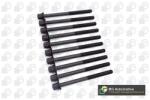 BGA Set surub, chiulasa BGA BK4388 (BK4388)