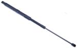 Denckermann Amortizor capota DENCKERMANN G110189 (G110189)