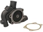 THERMOTEC Pompă de apă, răcire motor THERMOTEC WP-PK132 (WP-PK132)