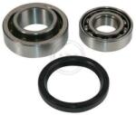 ABS Set rulment roata ABS 200194 (200194)
