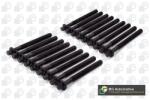 BGA Set surub, chiulasa BGA BK2396 (BK2396)