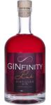  GINfinity Pink Gin 0, 5L 40, 45% - ginshop