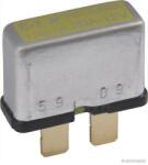 Herth+buss Elparts Automat siguranta HERTH+BUSS ELPARTS 50295952 (50295952)