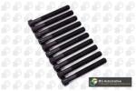 BGA Set surub, chiulasa BGA BK6358 (BK6358)