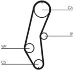CONTITECH Curea de distributie CONTITECH CT666 (CT666)