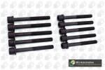 BGA Set surub, chiulasa BGA BK5320 (BK5320)