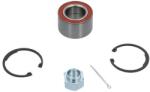 KAVO PARTS Set rulment roata KAVO PARTS WBK-1003 (WBK-1003)