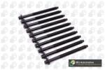 BGA Set surub, chiulasa BGA BK3339 (BK3339)