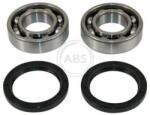 ABS Set rulment roata ABS 200503 (200503)