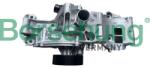 BORSEHUNG Pompă de apă, răcire motor BORSEHUNG B11216 (B11216)