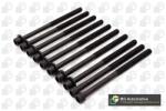 BGA Set surub, chiulasa BGA BK2308 (BK2308)