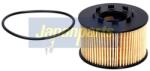 JAPANPARTS Filtru ulei JAPANPARTS FO-ECO022 (FO-ECO022)