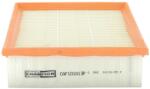CHAMPION Filtru aer CHAMPION CAF101013P (CAF101013P) - automobilus