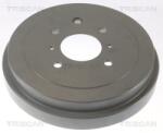 TRISCAN Tambur frana TRISCAN 8120 14225C (8120 14225C)