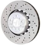 SHW Disc frana SHW BFL44809 (BFL44809) - automobilus