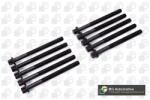BGA Set surub, chiulasa BGA BK2339 (BK2339)