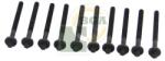 BGA Set surub, chiulasa BGA BK4316 (BK4316)