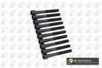 BGA Set surub, chiulasa BGA BK5376 (BK5376)