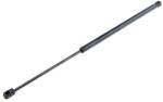 MTR Amortizor portbagaj MTR 12161348 (12161348) - automobilus