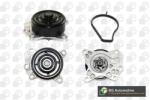 BGA Pompă de apă, răcire motor BGA CP0201 (CP0201)