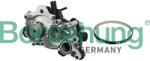 BORSEHUNG Pompă de apă, răcire motor BORSEHUNG B11208 (B11208)