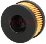 ASHIKA filtru combustibil ASHIKA 10-GAS22S (10-GAS22S) - automobilus